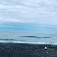画像2676