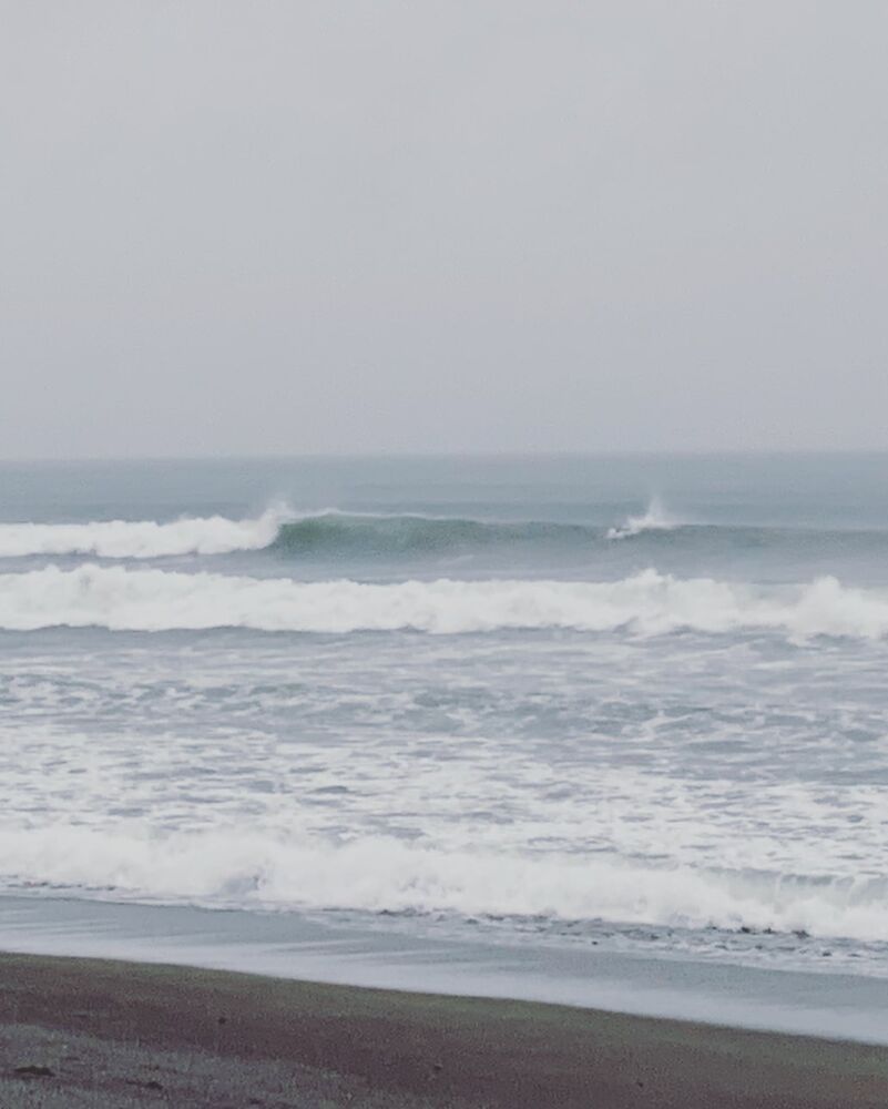 画像2686