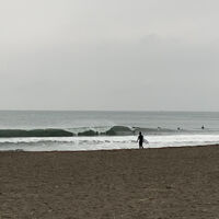 画像3942