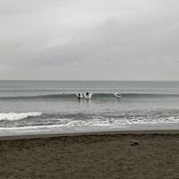 画像3953