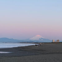 画像4290