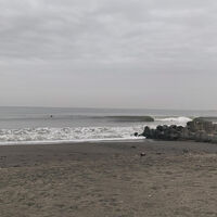 画像4596