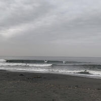 画像4597