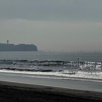 画像9263