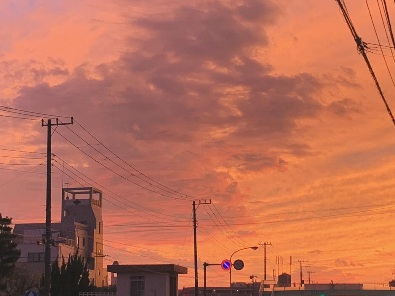 画像9288