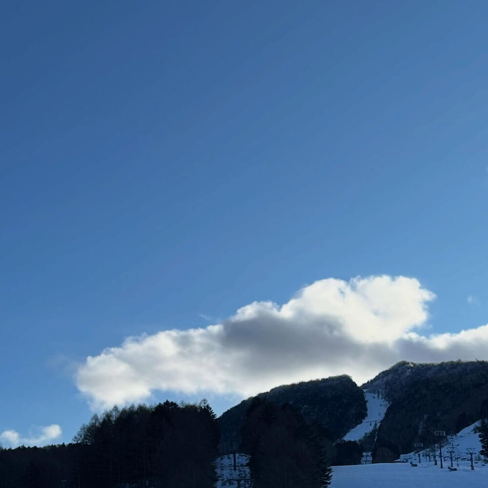 画像9913
