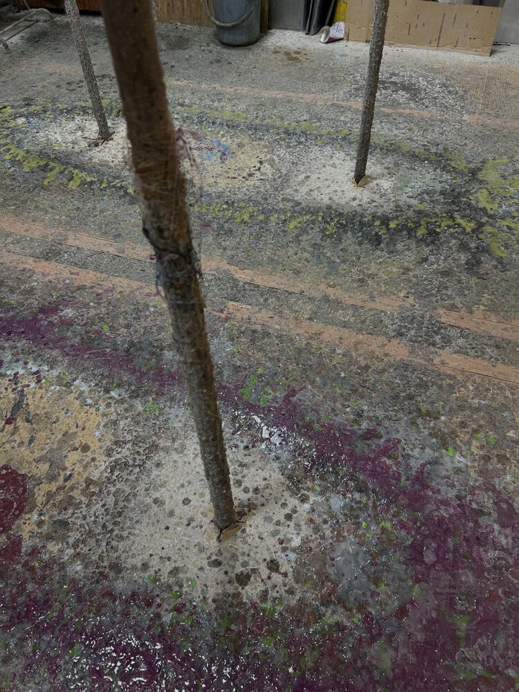 画像9953